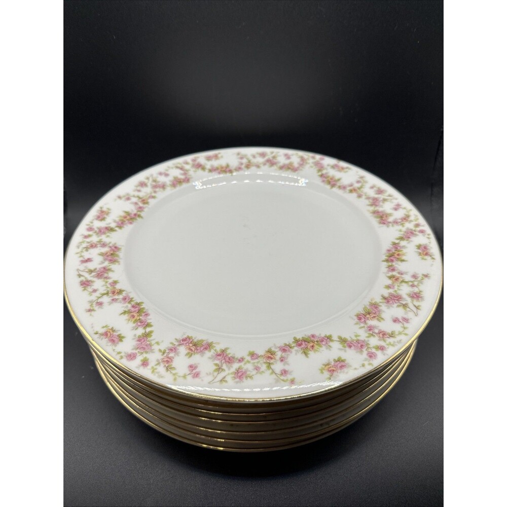 Vintage Thun Czech Porcelain Bridal Rose 10 1/4" Dinner Plate Set Of 7 W/ 1 Bowl